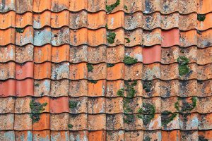 Roof Inspections